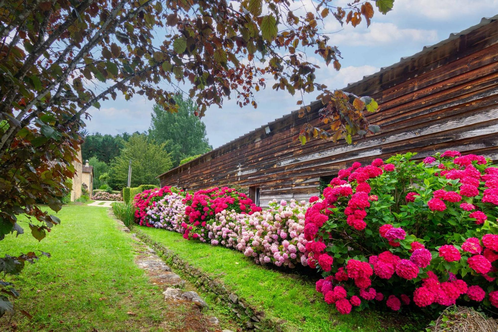 Le Clos Vallis Sarlat-la-Caneda Bagian luar foto